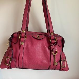 Fossil satchel
